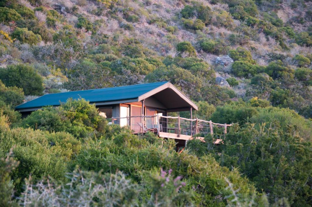 Hillsnek Safari Camp - Amakhala Game Reserve Villa Стая снимка