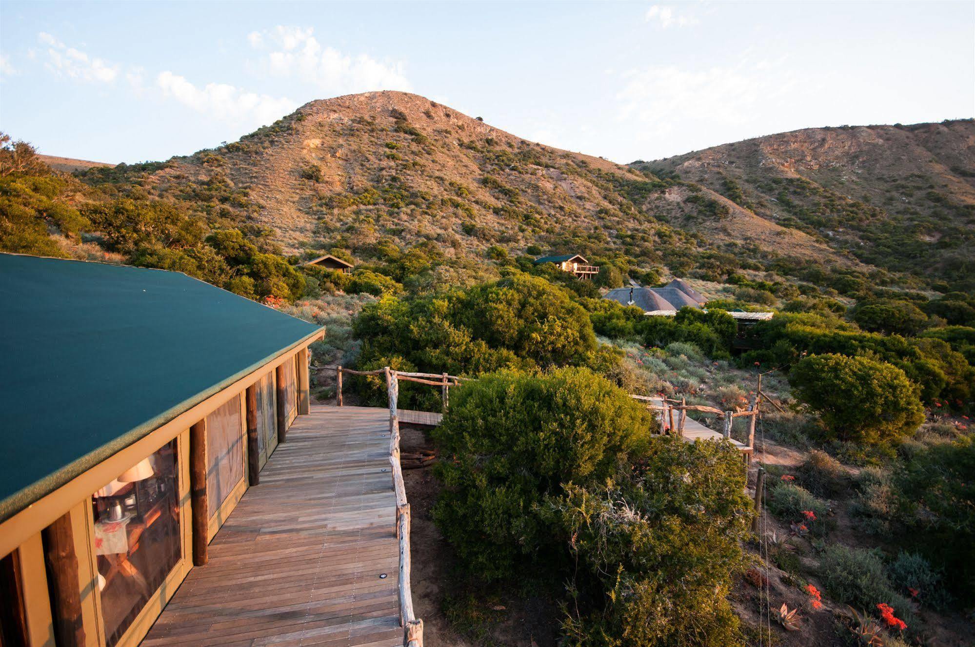 Hillsnek Safari Camp - Amakhala Game Reserve Villa Екстериор снимка